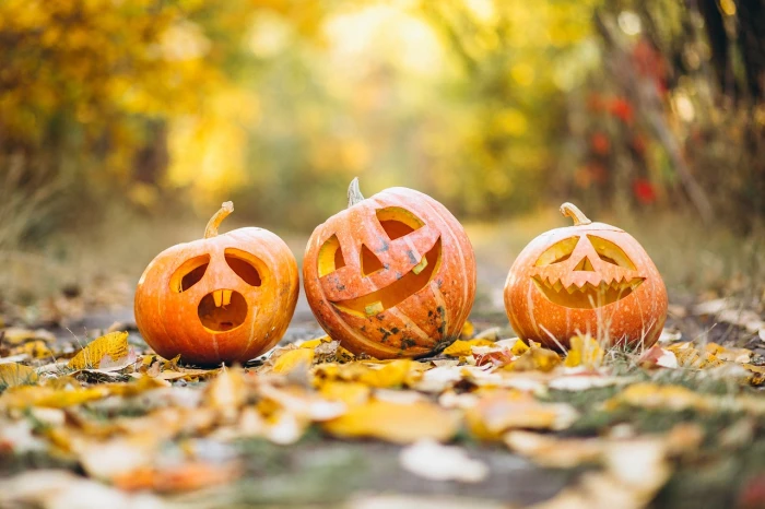 Halloween 2024, il significato della festa e tutto quello che c'è da sapere sulla notte fra streghe e mostri